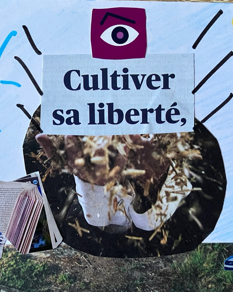 Collage sur le thème de la lecture, intitulé « Cultiver sa liberté »